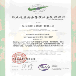 安徽绿宝电缆集团职业健康体系认证